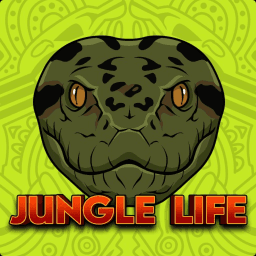 [🐍] Jungle Life thumbnail