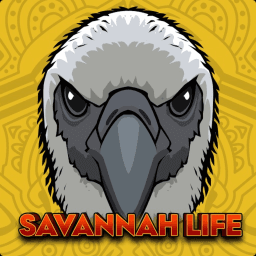 [VULTURE] Savannah Life thumbnail