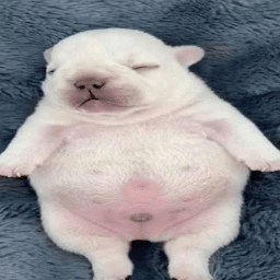 Project Superstellar (Akumatization Part 1.5) thumbnail